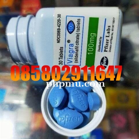 Jual Viagra Asli Di Sidoarjo 085802911647 Alamat Obat Viagra Usa cod